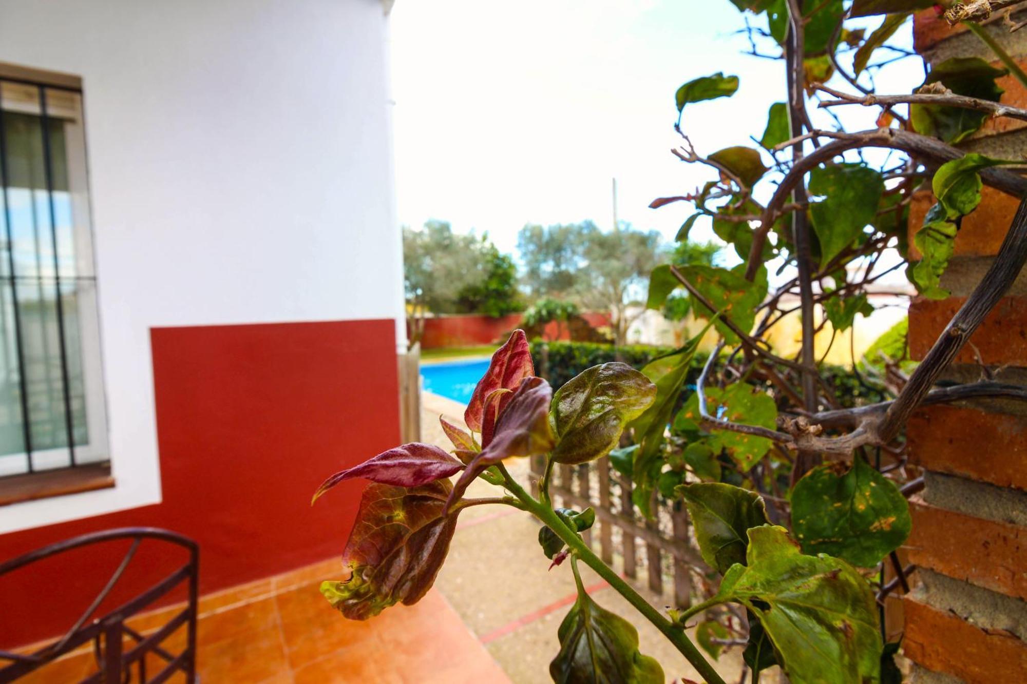 Los Candiles Conil De La Frontera Exterior foto